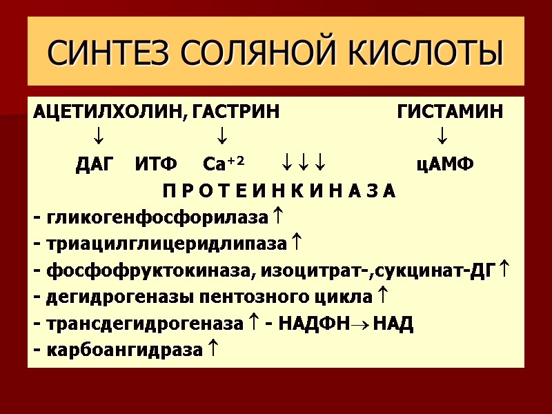 СИНТЕЗ СОЛЯНОЙ КИСЛОТЫ АЦЕТИЛХОЛИН, ГАСТРИН         